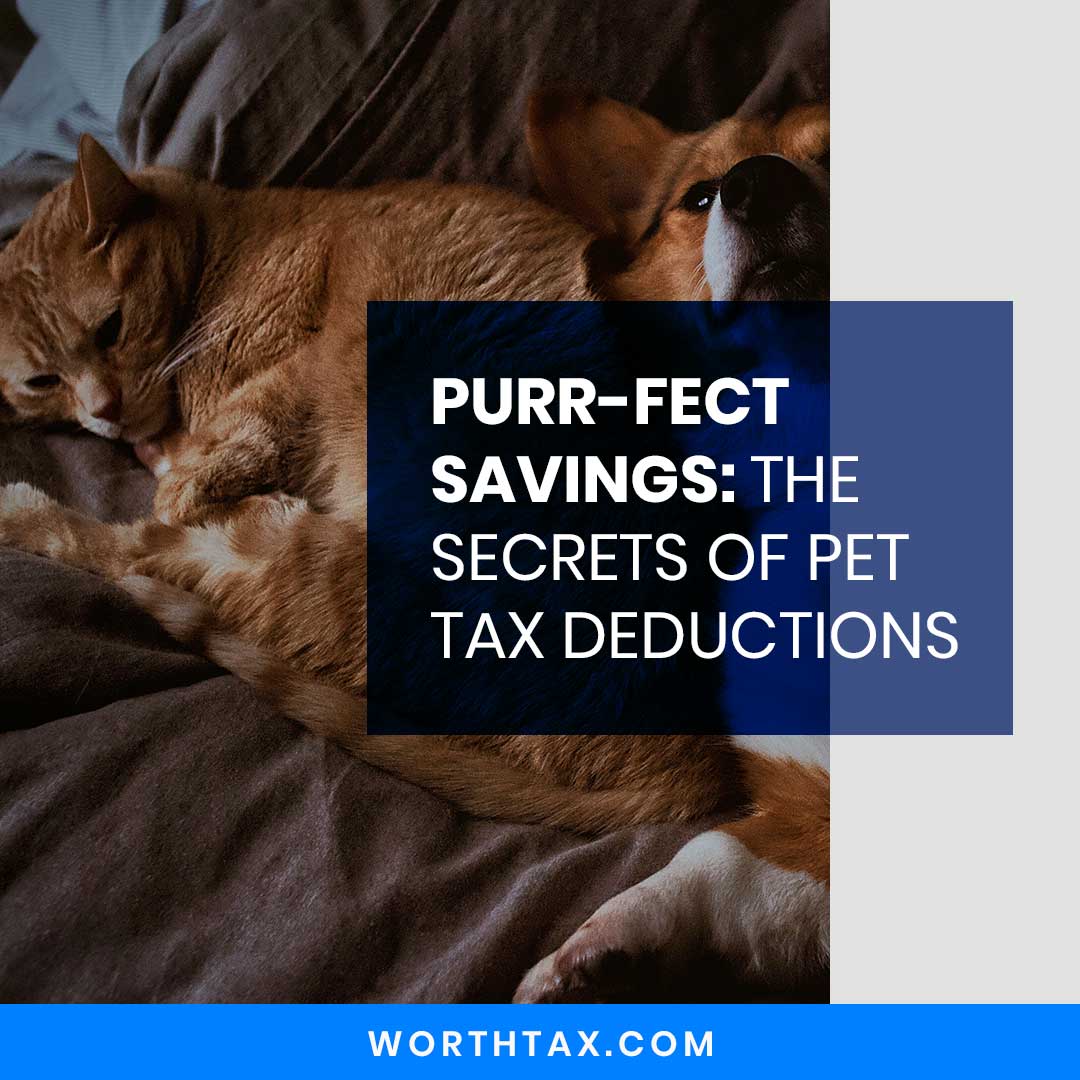 Purr-fect Savings
